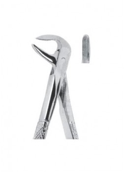 Extracting Forceps